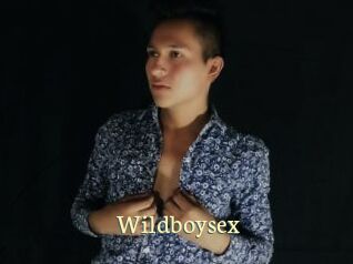 Wildboysex