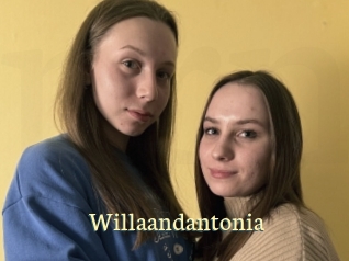 Willaandantonia