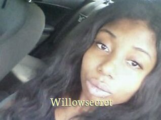 Willow_secret