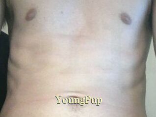 YoungPup