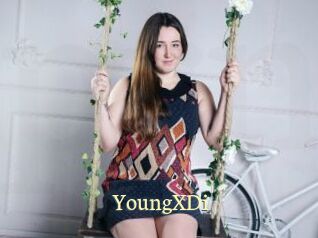 YoungXDi