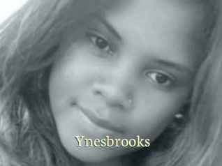 Ynesbrooks