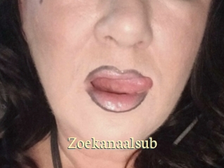 Zoekanaalsub